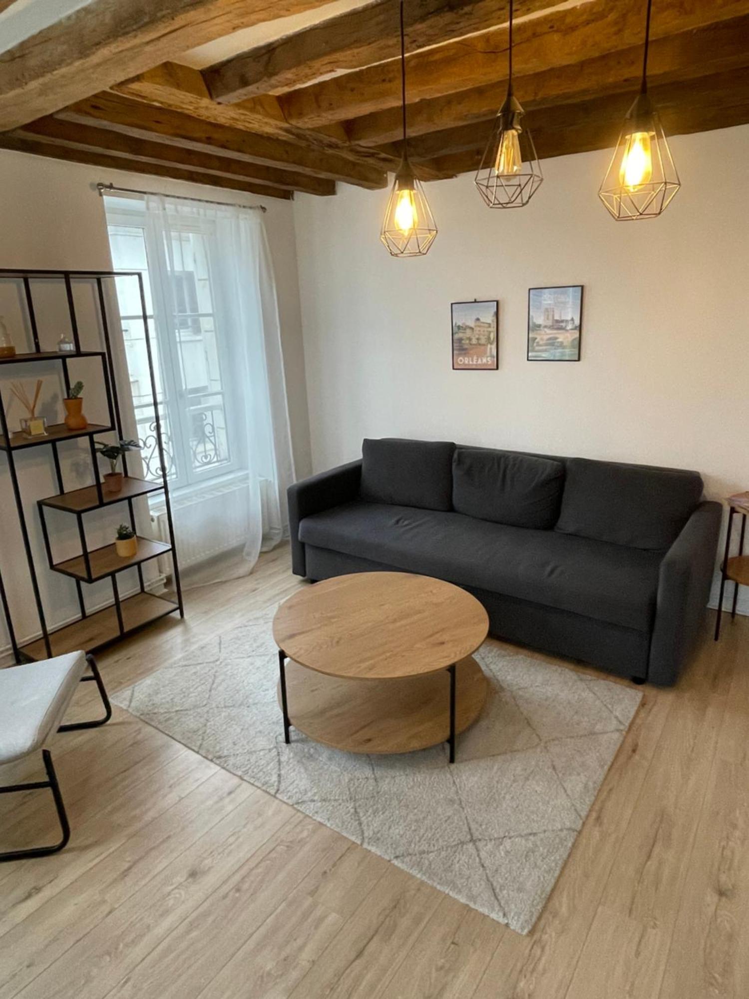 Charmant Appartement Orleans ! المظهر الخارجي الصورة