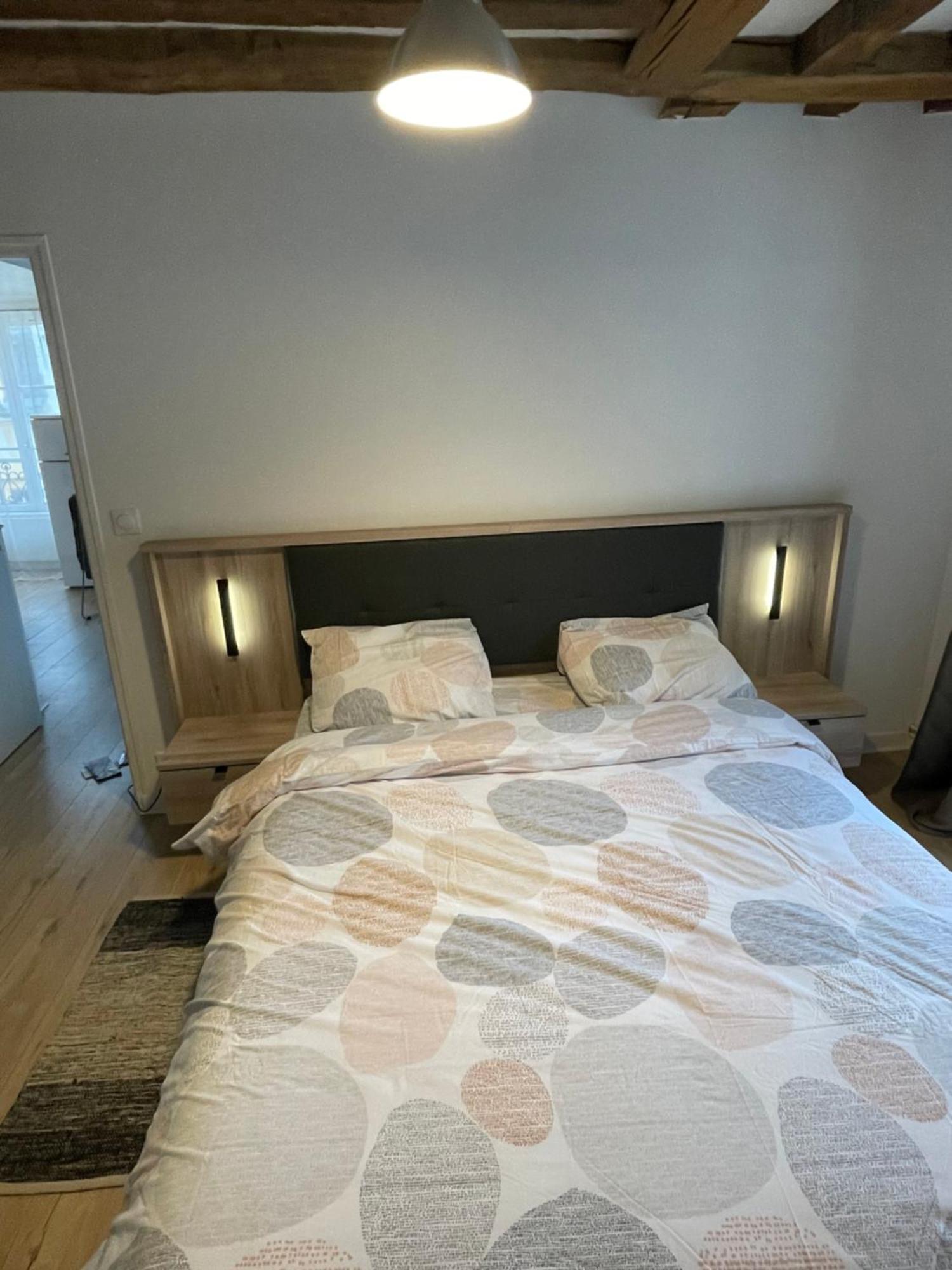 Charmant Appartement Orleans ! المظهر الخارجي الصورة